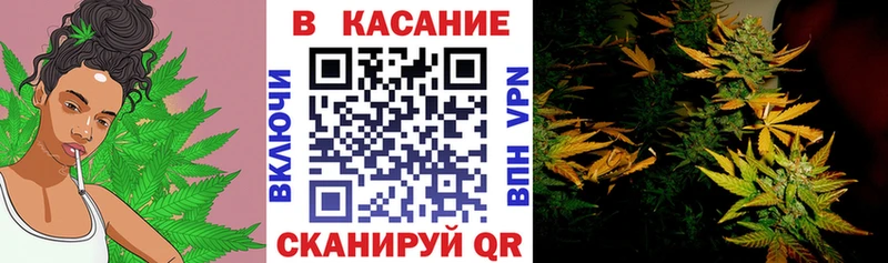 Магазины продажи наркотиков Новороссийск Конопля Галлюциногенные грибы МЕФ Метадон Кокаин