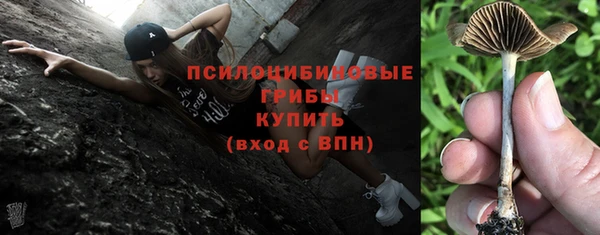 MDMA Медвежьегорск
