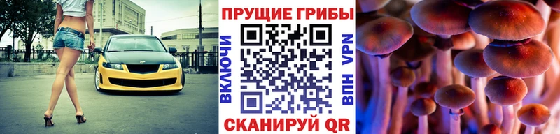 наркотики  Новороссийск  Псилоцибиновые грибы Magic Shrooms 