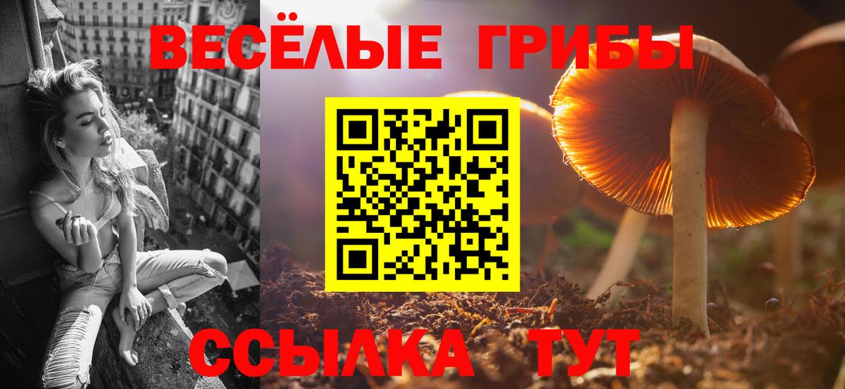 Галлюциногенные грибы мухоморы  Галлюциногенные грибы Psilocybine cubensis  Новороссийск  Вход с VPN 